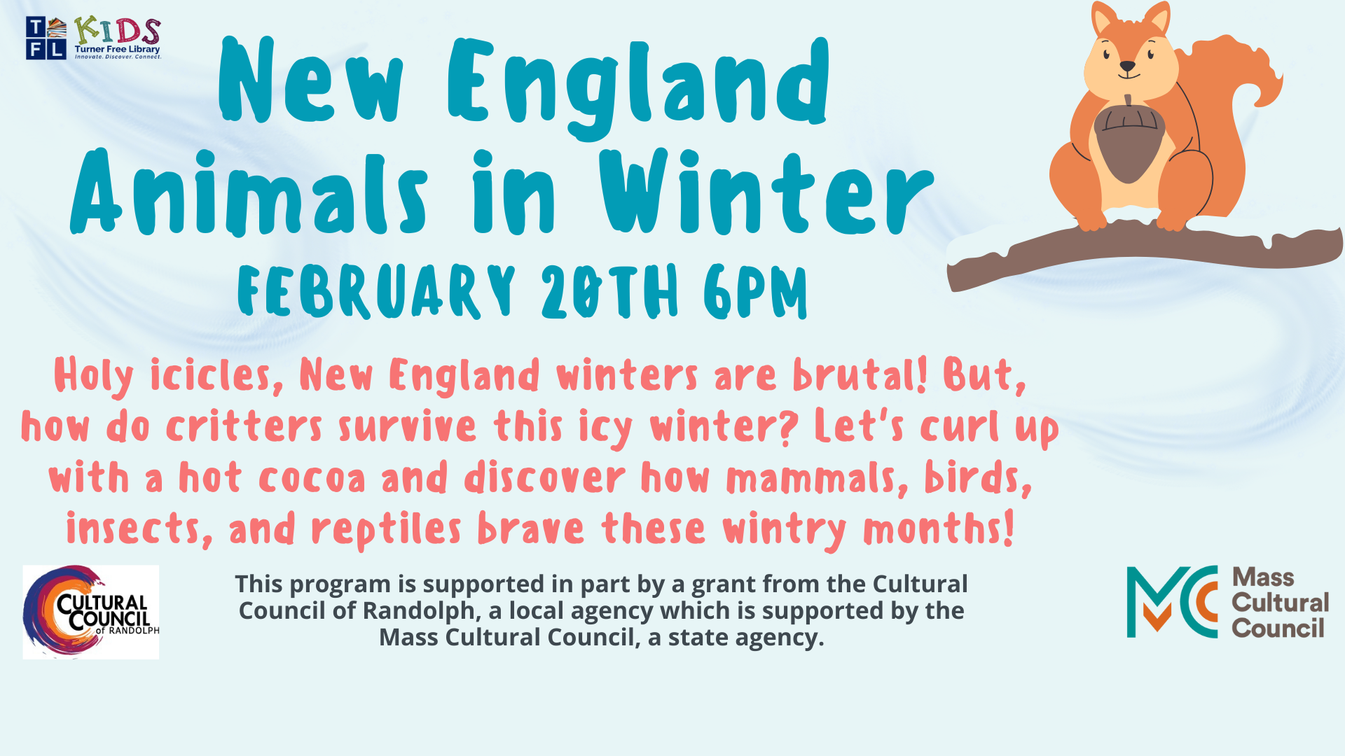 New England Animals in Winter