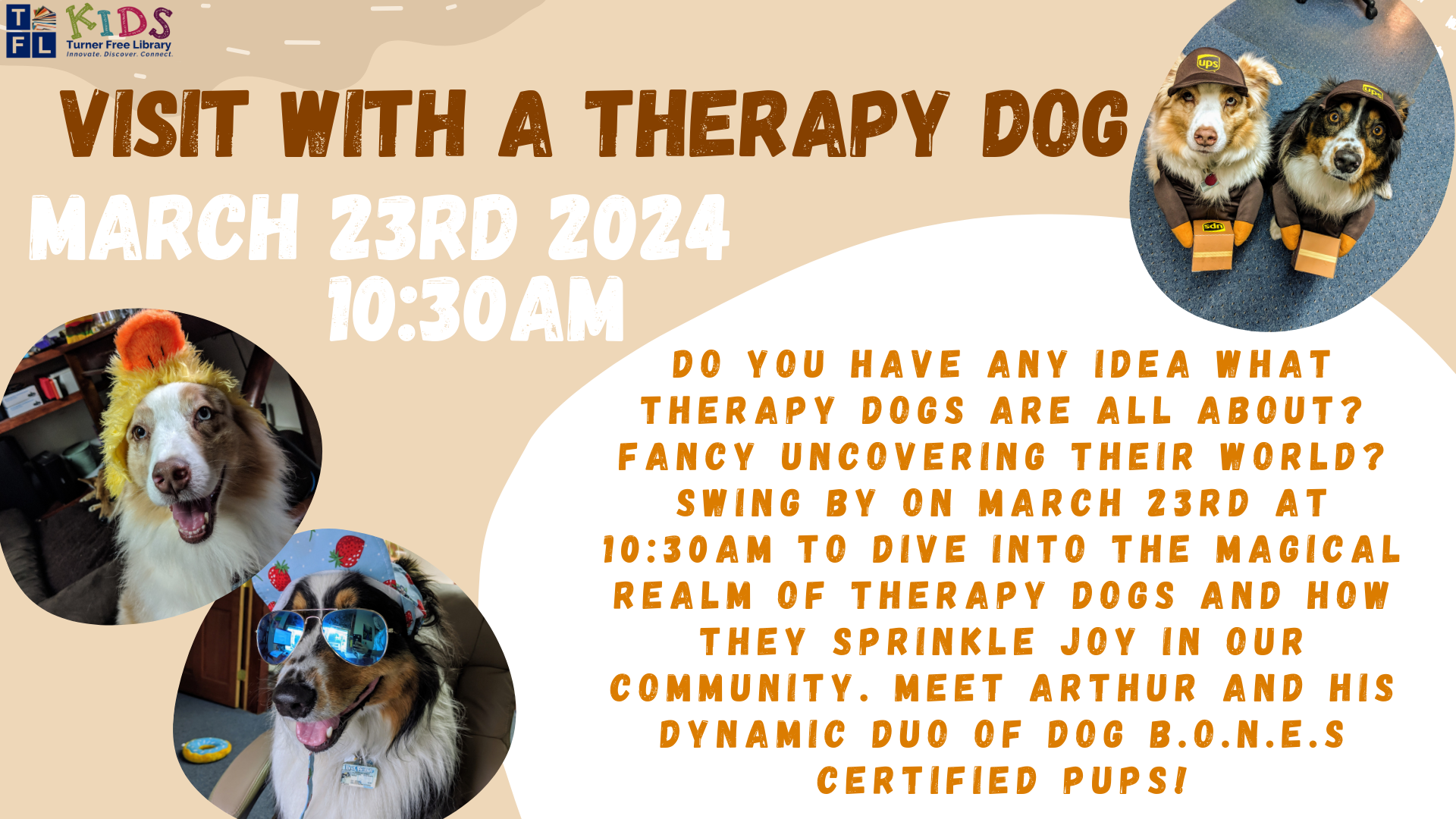 visit a therapy dog